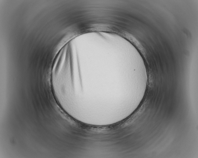 X0000113011386200909241343