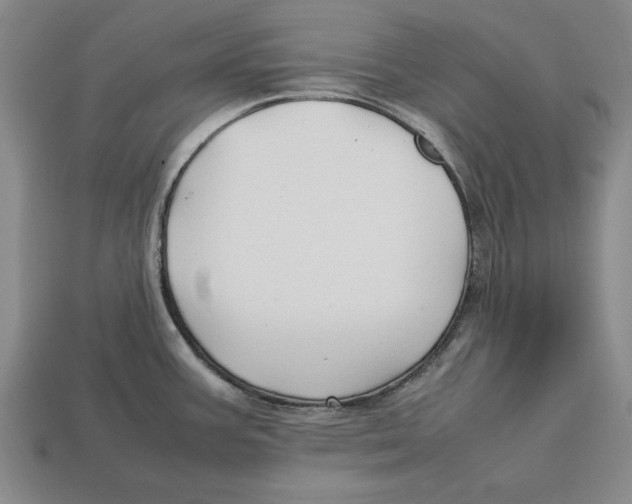 X0000113011387200909241343