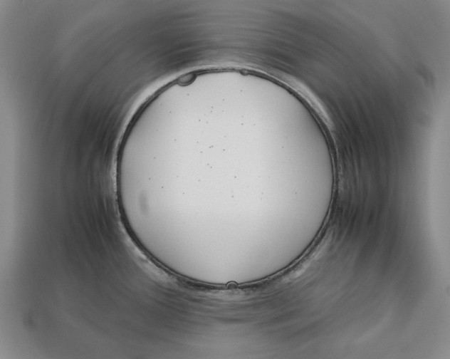 X0000113011388200909241343