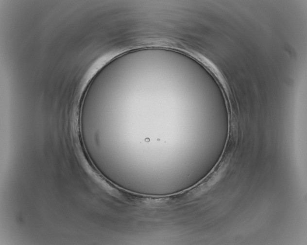 X0000113011389200909241343