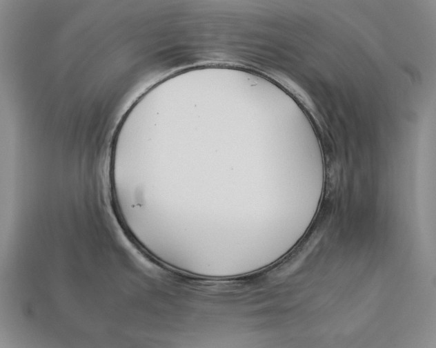 X0000113011391200909241343