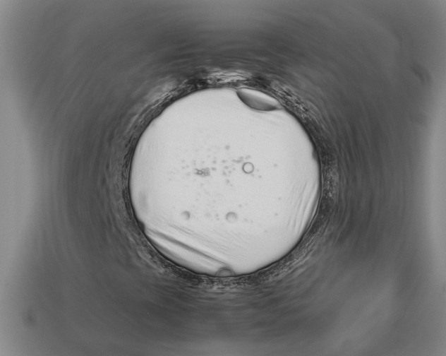 X0000113011393200909241342