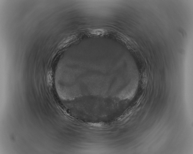 X0000113011394200909241342