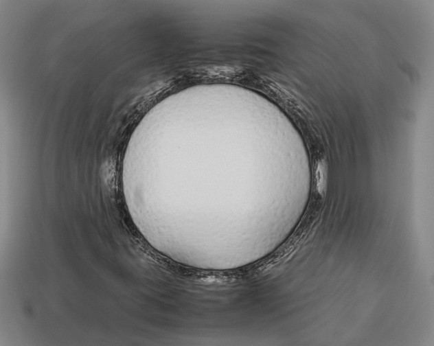 X0000113011395200909241342