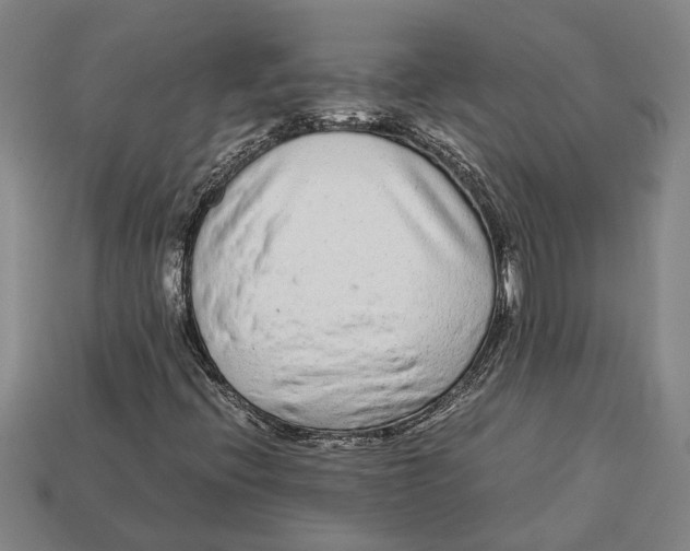 X0000113011396200909241342