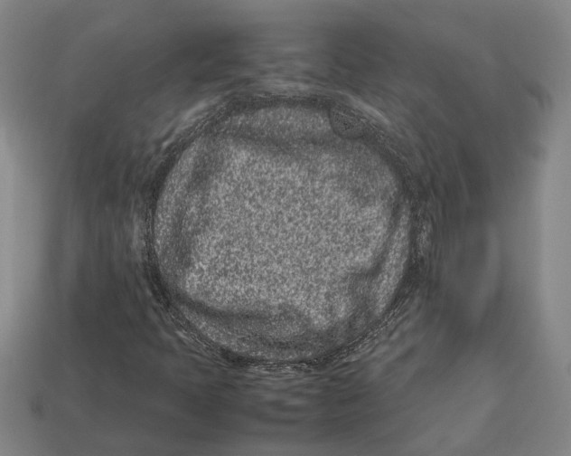 X0000113011397200909241342