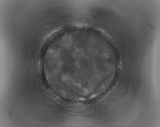 X0000113011398200909241342