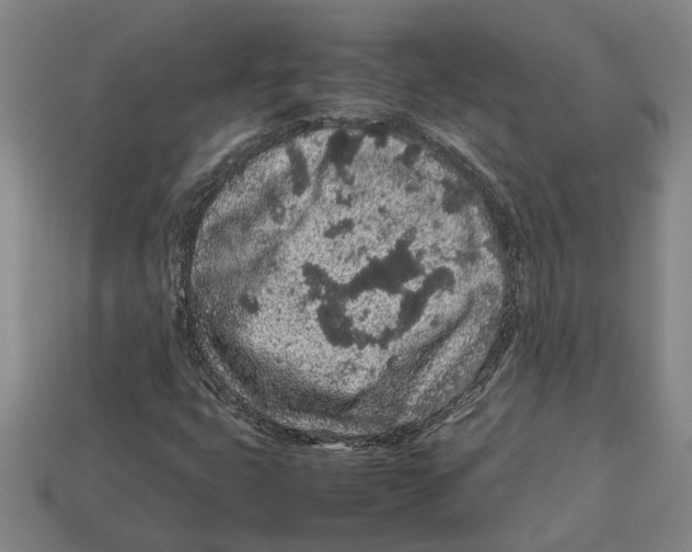 X0000113011399200909241342