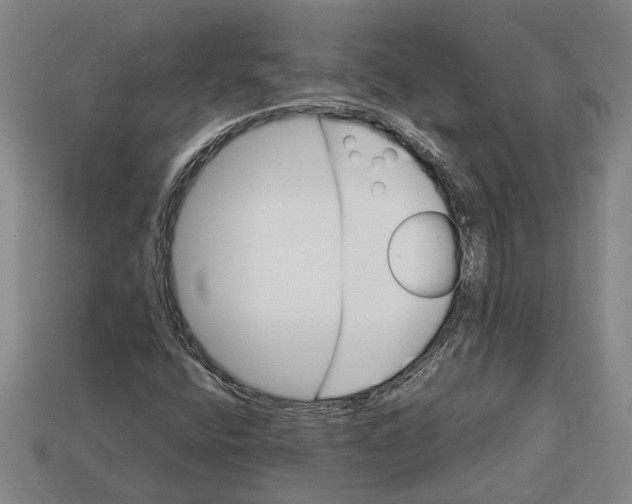 X0000113011400200909241342