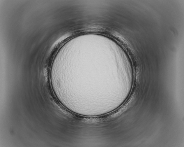 X0000113011402200909241342