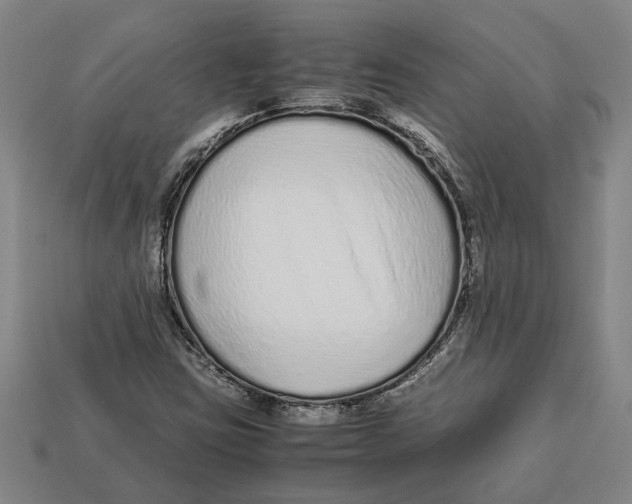 X0000113011403200909241342