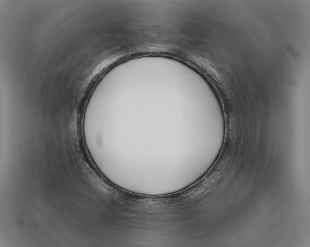 X0000113011404200909241342