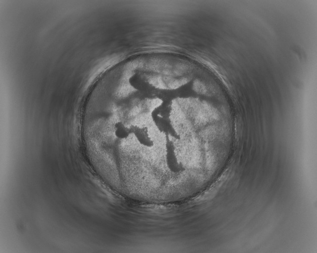 X0000113011405200909241342