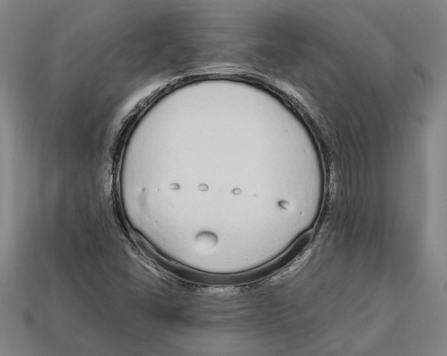 X0000113011406200909241342