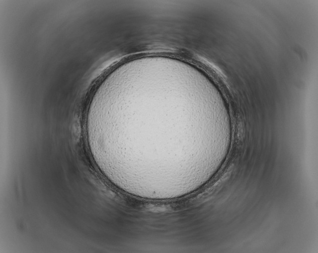 X0000113011407200909241342