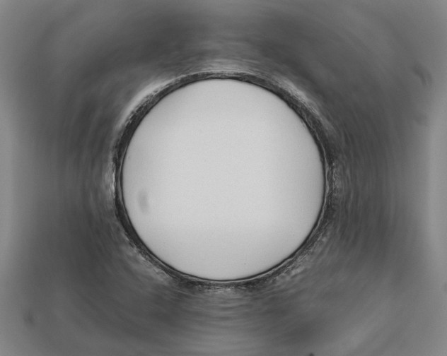 X0000113011408200909241342