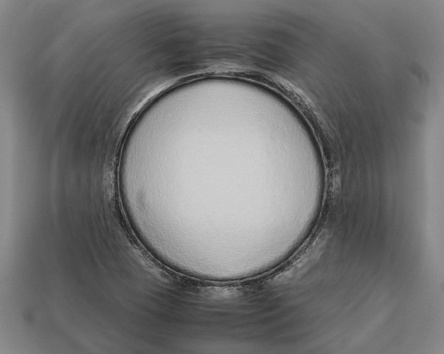 X0000113011409200909241342