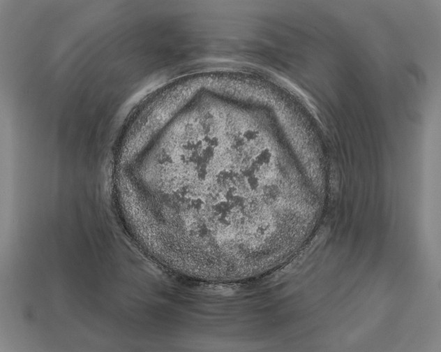 X0000113011411200909241342