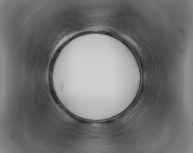 X0000113011412200909241342