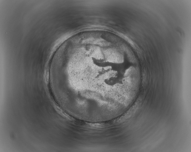 X0000113011413200909241342