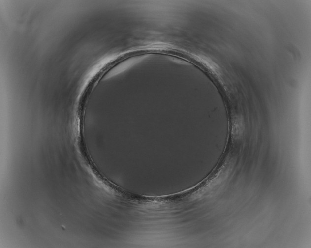 X0000113011414200909241342