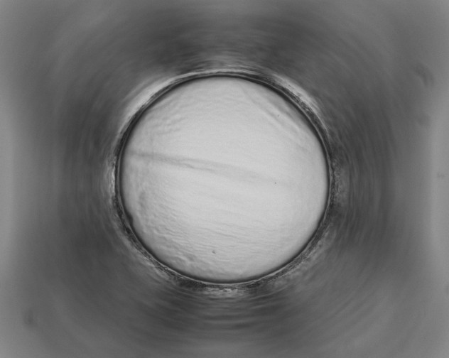 X0000113011415200909241342