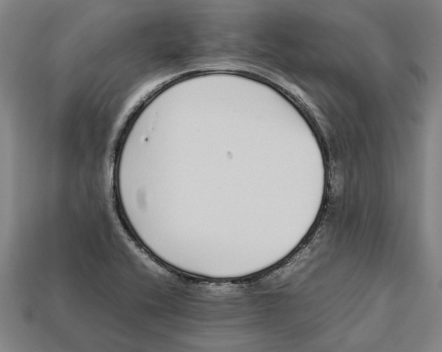 X0000113011416200909241342