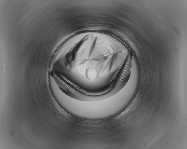 X0000113011417200909241342