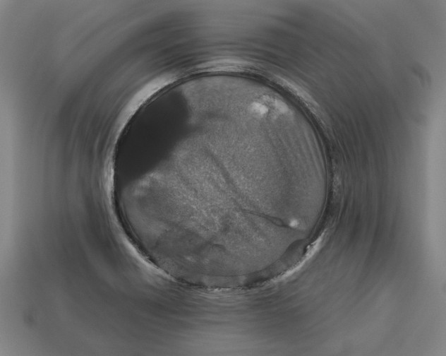 X0000113011418200909241342