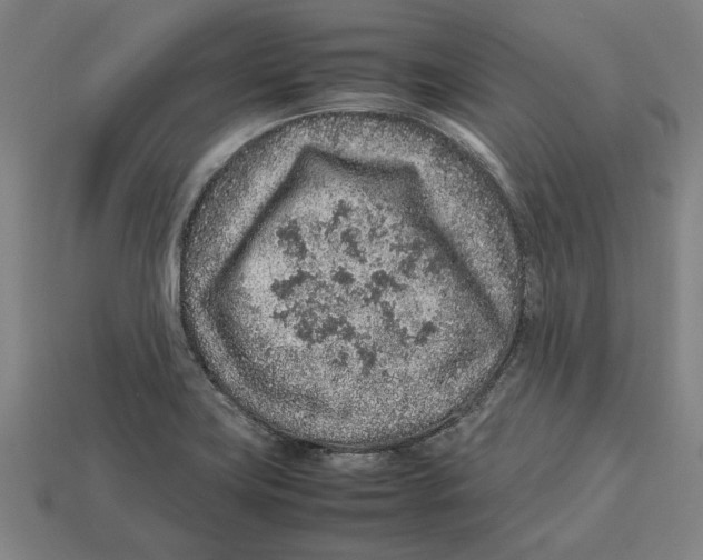 X0000113011419200909241342