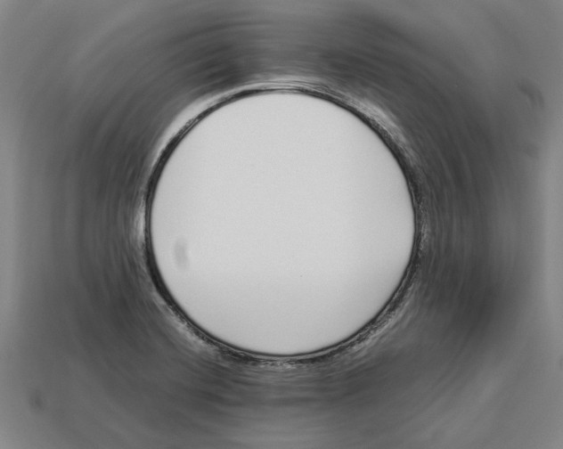 X0000113011420200909241342