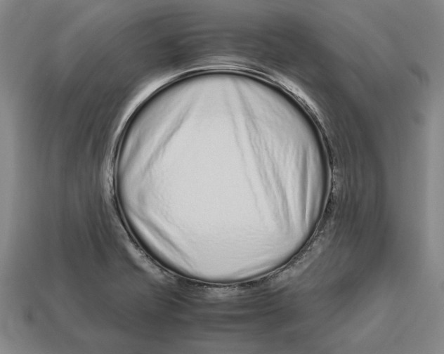 X0000113011421200909241342