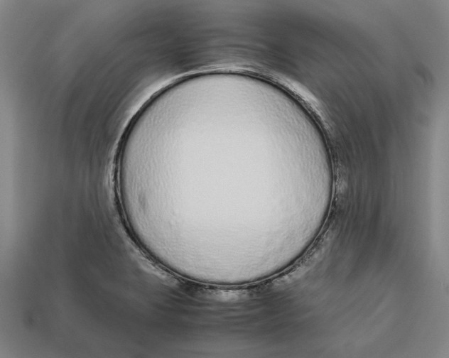 X0000113011423200909241342