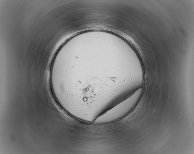 X0000113011424200909241342