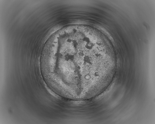 X0000113011425200909241342