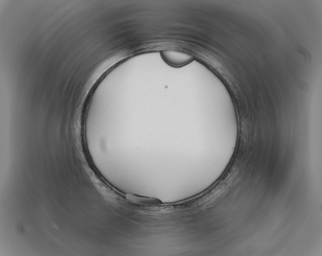 X0000113011426200909241342