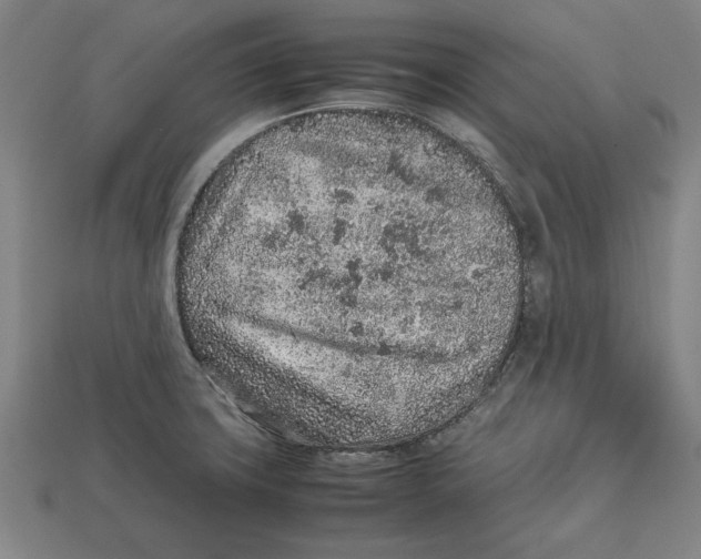 X0000113011427200909241342