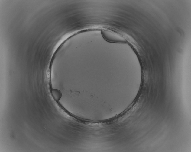 X0000113011428200909241342