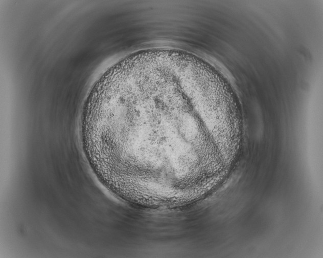 X0000113011429200909241342