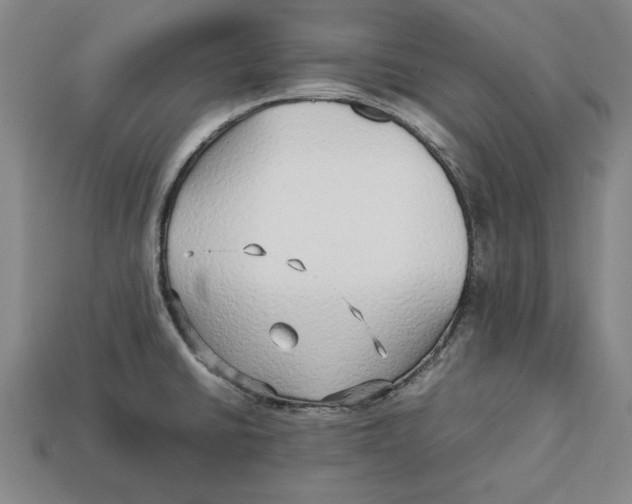 X0000113011430200909241342