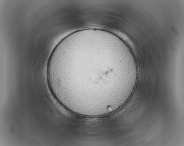 X0000113011431200909241342