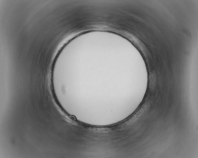 X0000113011432200909241342