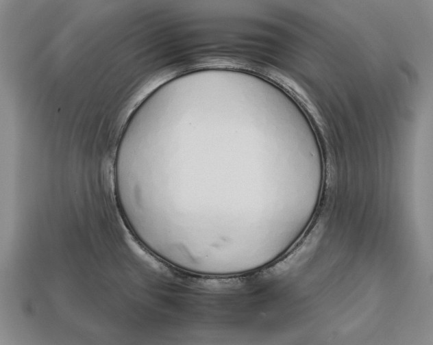 X0000113011433200909241342