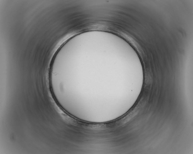 X0000113011434200909241342