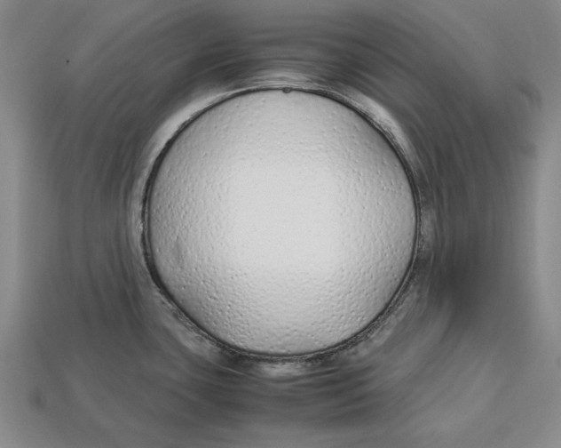 X0000113011435200909241342