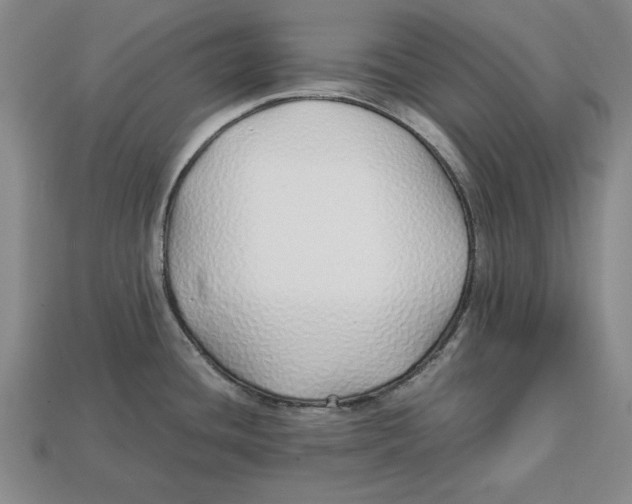 X0000113011436200909241342