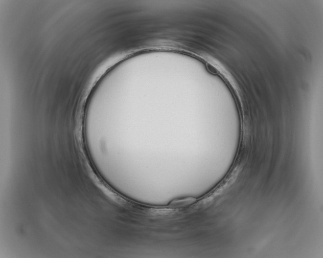 X0000113011437200909241342