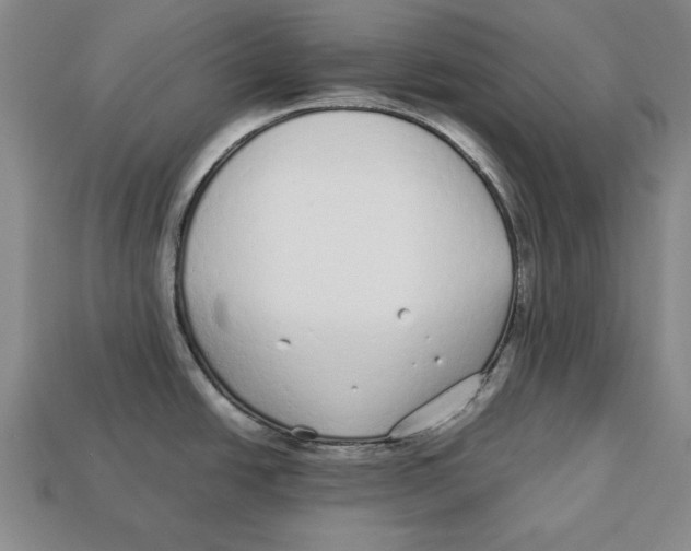 X0000113011438200909241342