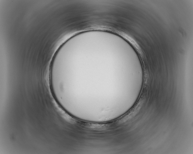 X0000113011439200909241342