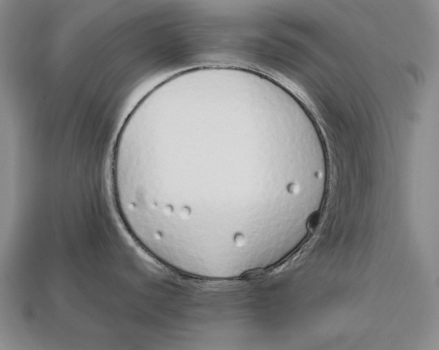 X0000113011440200909241342